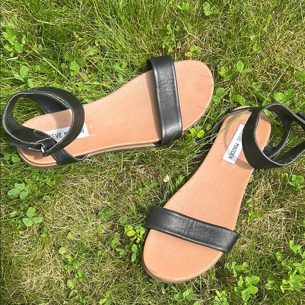 Steve Madden Black and Tan Sandals